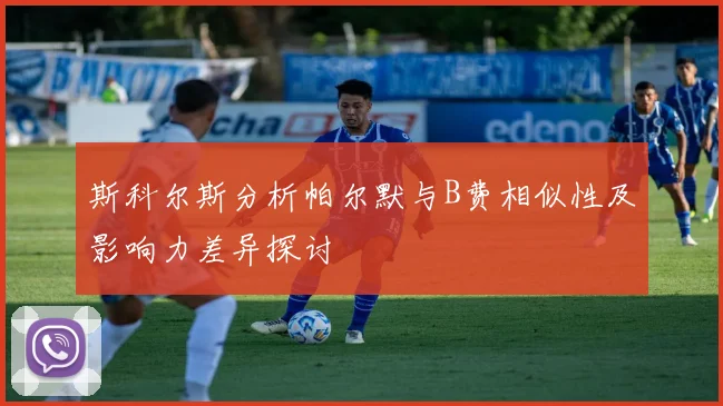 斯科尔斯分析帕尔默与B费相似性及影响力差异探讨